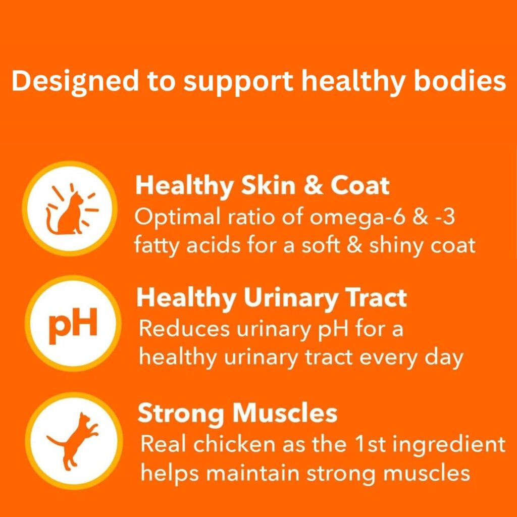Iams Proactive Health Cat Food 22 Lbs Health Benefits Iams Proactive Health Cat Food 22 Lbs Health Benefits