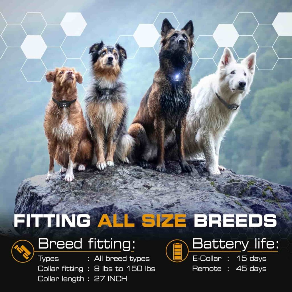 Invirox Dog Shock Collar Ultra K9, fitting all sizes and breeds Invirox Dog Shock Collar Ultra K9, fitting all sizes and breeds