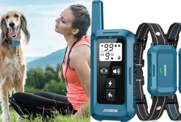Jugbow Dog Shock Collar 2 Dogs