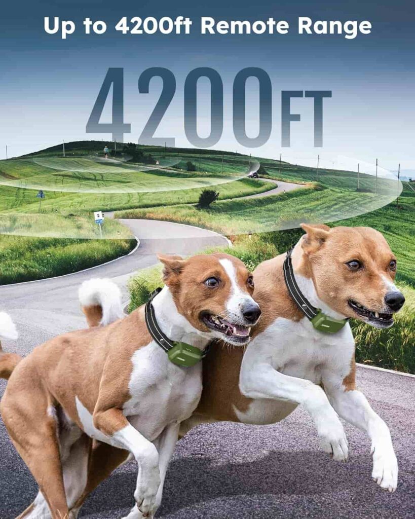 Jugbow Dog Shock Collar 2 Dogs Effective Distance Jugbow Dog Shock Collar 2 Dogs Effective Distance