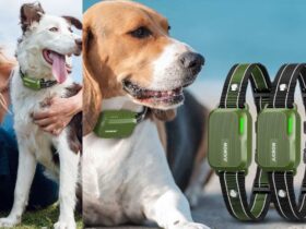 Jugbow Dog Shock Collar 2 Dogs IPX7