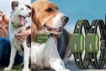Jugbow Dog Shock Collar 2 Dogs IPX7