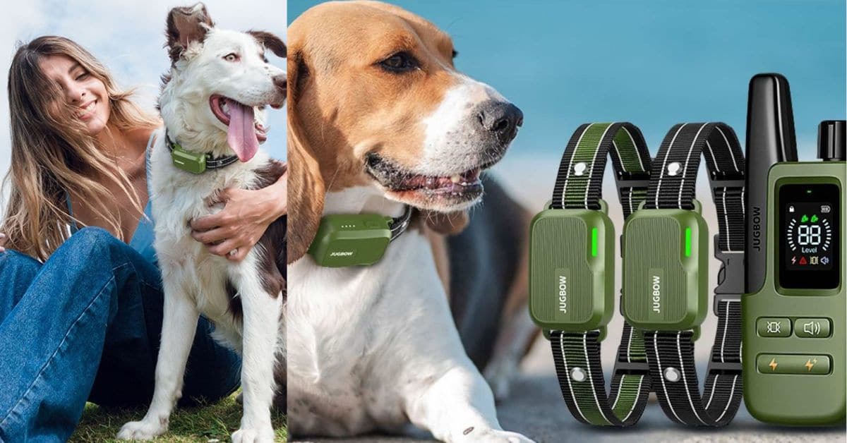 Jugbow Dog Shock Collar 2 Dogs IPX7