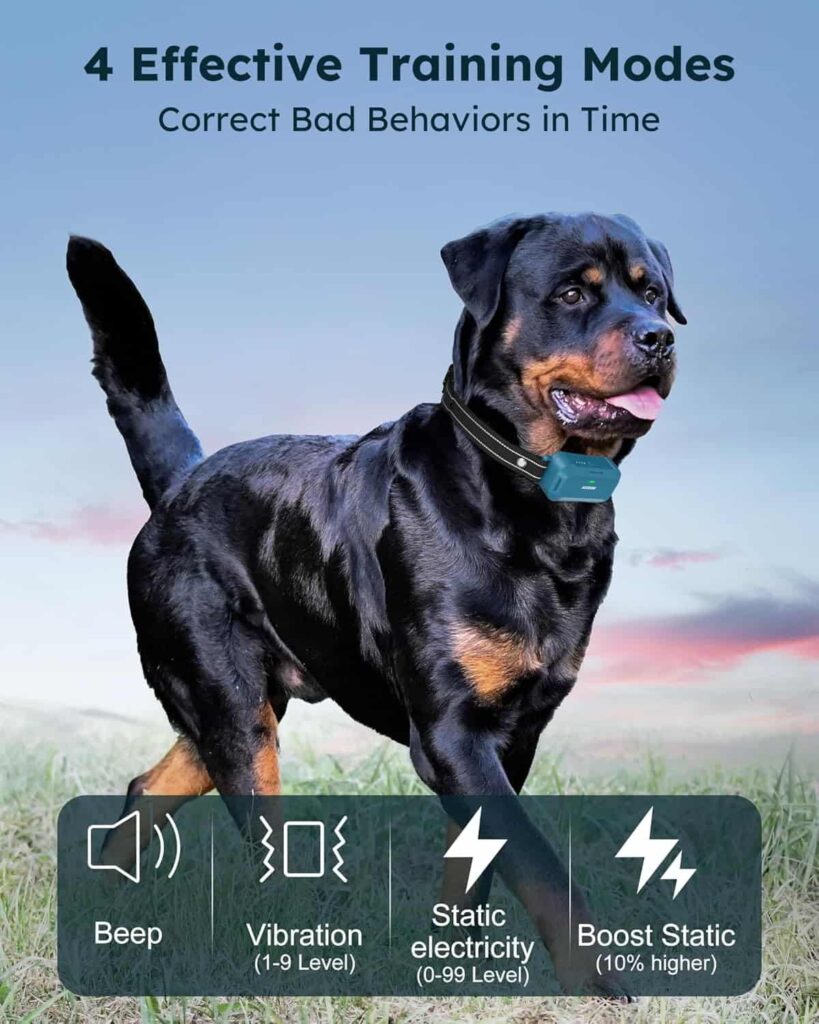Jugbow Dog Shock Collar 2 Dogs IPX8 Unleash Control & Safety! Jugbow Dog Shock Collar 2 Dogs IPX8 Unleash Control & Safety!