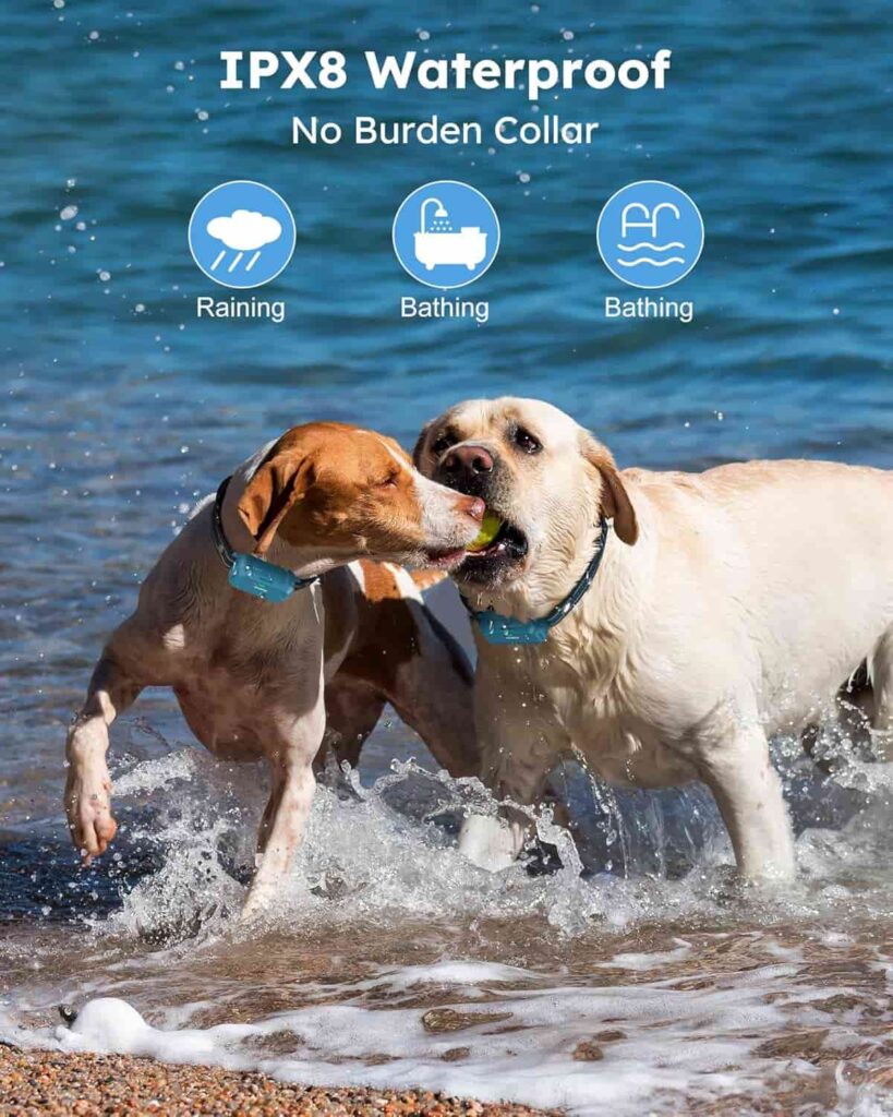 Jugbow Dog Shock Collar 2 Dogs IPX8 Waterproof Design Jugbow Dog Shock Collar 2 Dogs IPX8 Waterproof Design