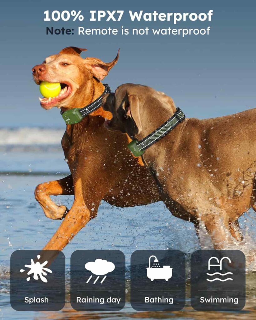 Jugbow Dog Shock Collar 2 Dogs Ipx7 Waterproof Jugbow Dog Shock Collar 2 Dogs Ipx7 Waterproof