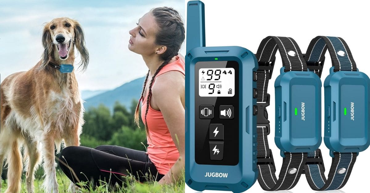 Jugbow Dog Shock Collar 2 Dogs