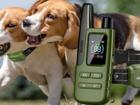Jugbow Dog Shock Collar