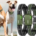 Jugbow Dog Shock Collar 3300 Ft
