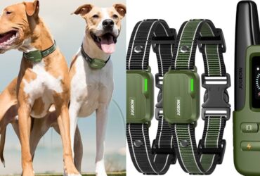Jugbow Dog Shock Collar 3300 Ft