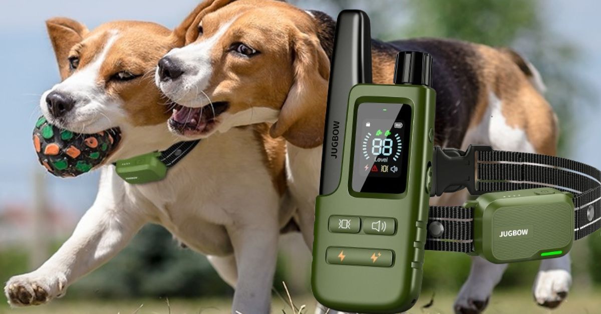 Jugbow Dog Shock Collar
