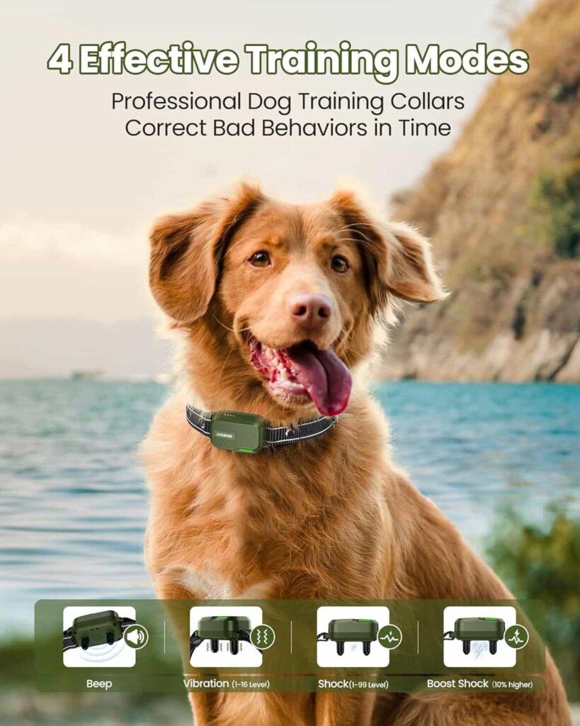 Jugbow dog shock collar 3300 FT Behavior Modification Jugbow dog shock collar 3300 FT Behavior Modification