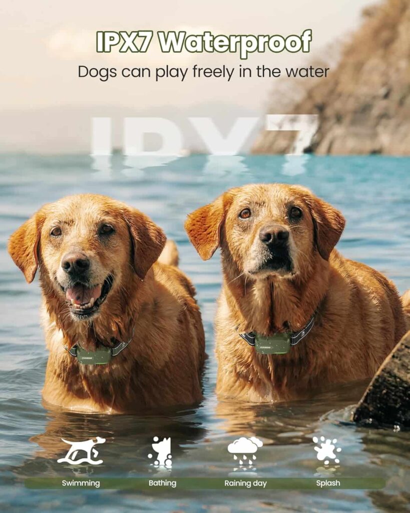Jugbow dog shock collar 3300 FT Water Resistance Jugbow dog shock collar 3300 FT Water Resistance