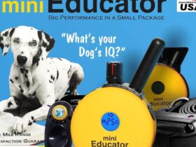 Mini Educator Dog Collar ET-300