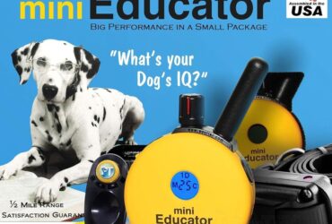 Mini Educator Dog Collar ET-300