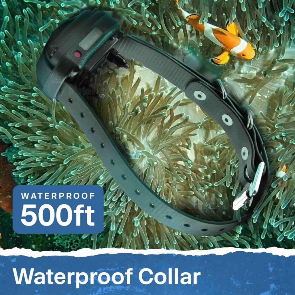 Mini Educator Dog Collar ET-300 lightweight and comfort Mini Educator Dog Collar ET-300 Water Resistance