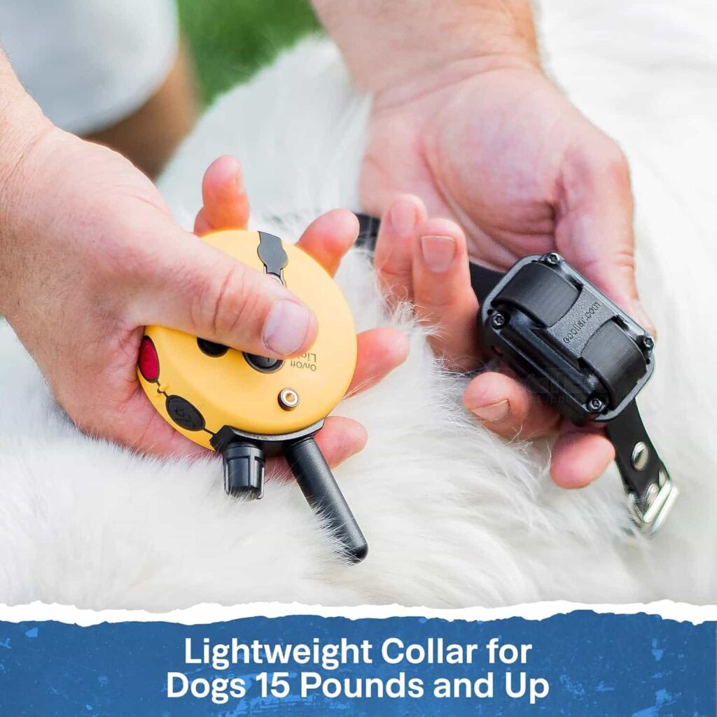 Mini Educator Dog Collar ET-300 lightweight and comfort Mini Educator Dog Collar ET-300 lightweight and comfort