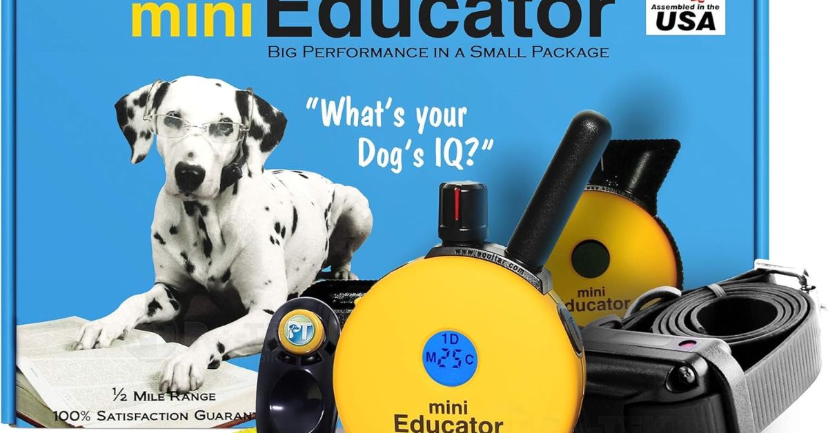 Mini Educator Dog Collar ET-300