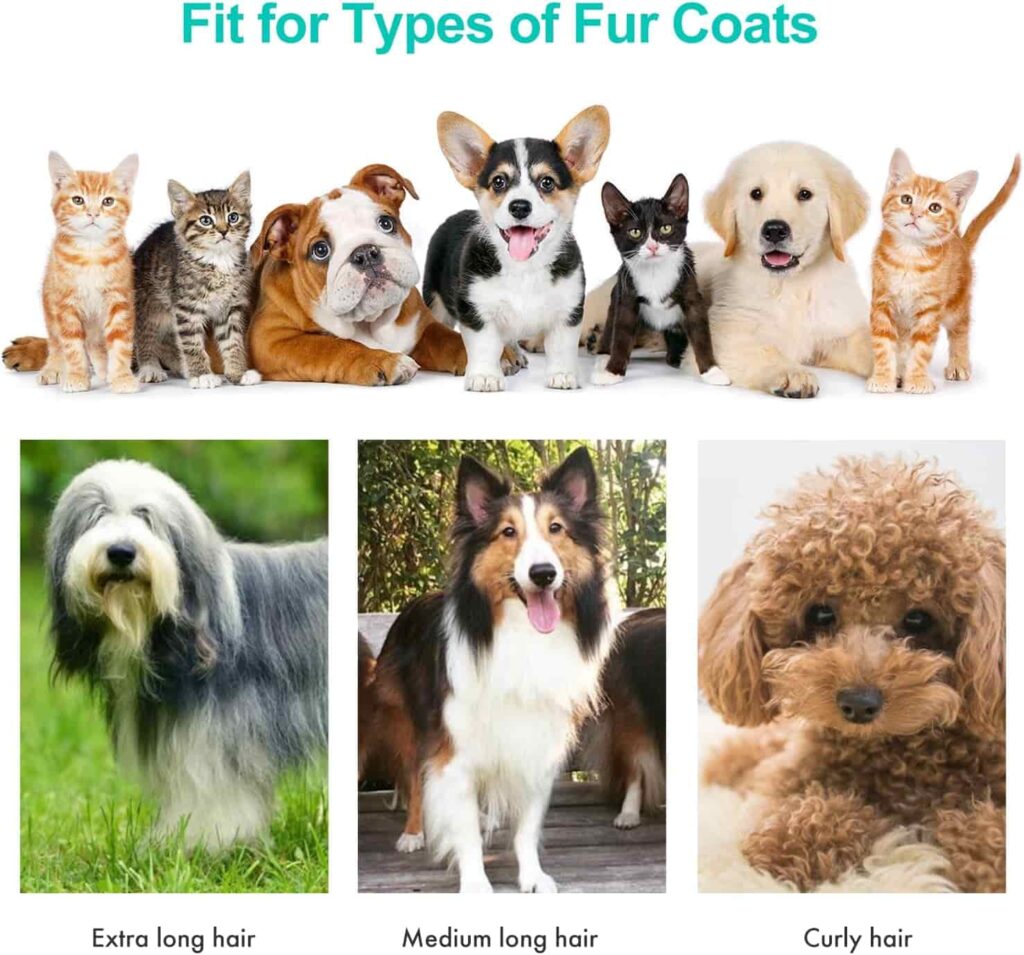 Neabot Pet Grooming Kit P1 Pro Performance On Different Fur Types Neabot Pet Grooming Kit P1 Pro Performance On Different Fur Types