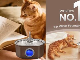 Neareal Cat Water Fountain