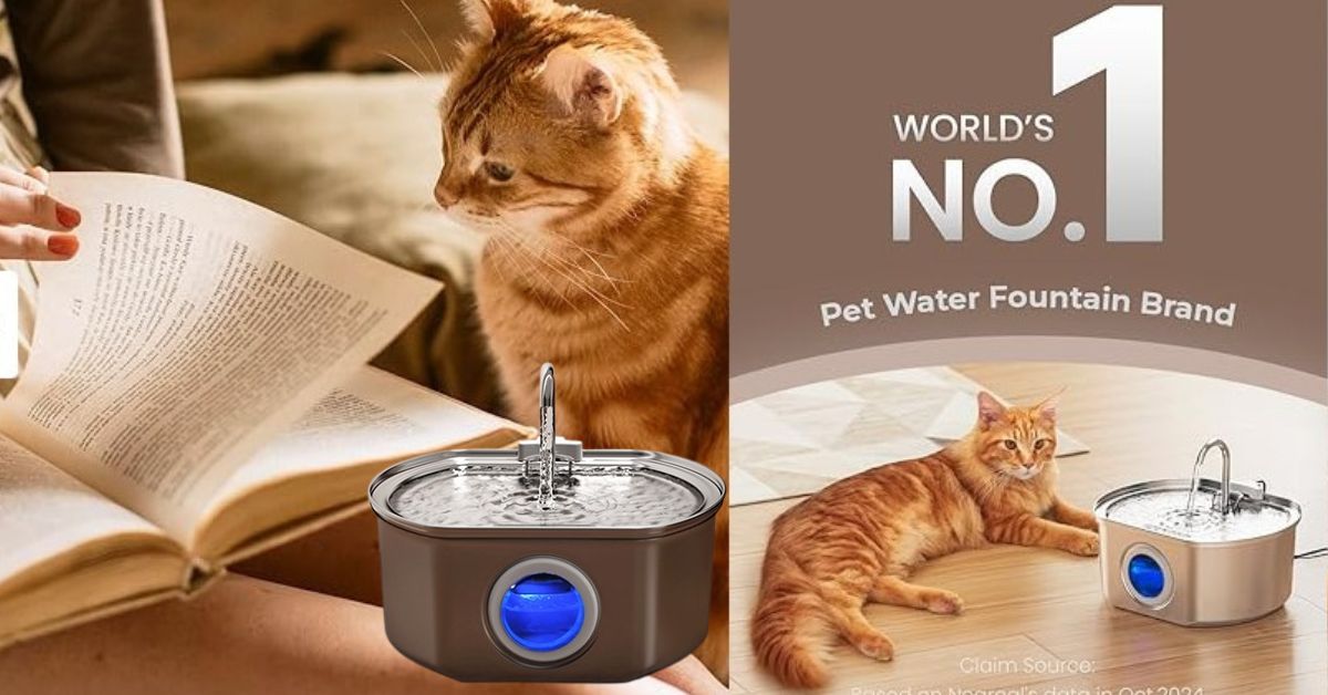 Neareal Cat Water Fountain
