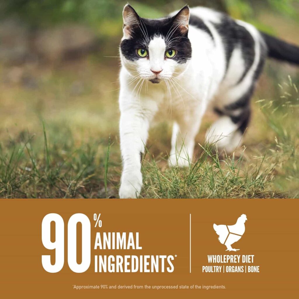 ORIJEN Original Grain-Free Dry Cat Food high animal ingredients