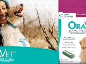 Oravet Dental Hygiene Chews