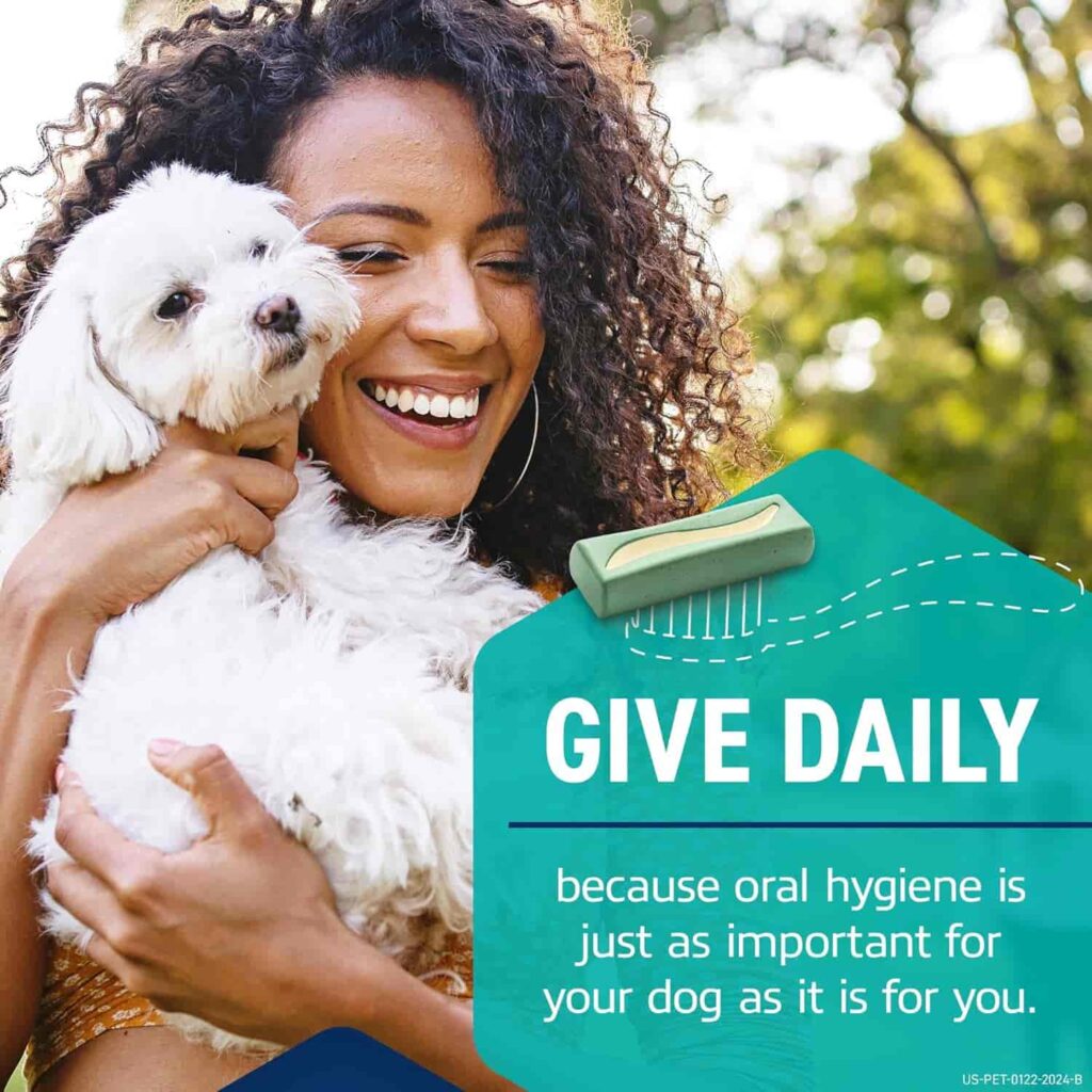 Oravet Dental Hygiene Chews for Large Dogs Daily Dental Care Oravet Dental Hygiene Chews for Large Dogs Daily Dental Care