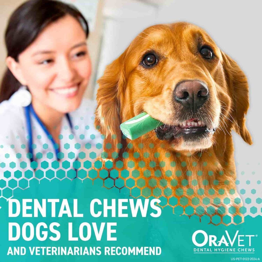 Oravet Dental Hygiene Chews for Large Dogs Veterinary Recommended Oravet Dental Hygiene Chews for Large Dogs Veterinary Recommended