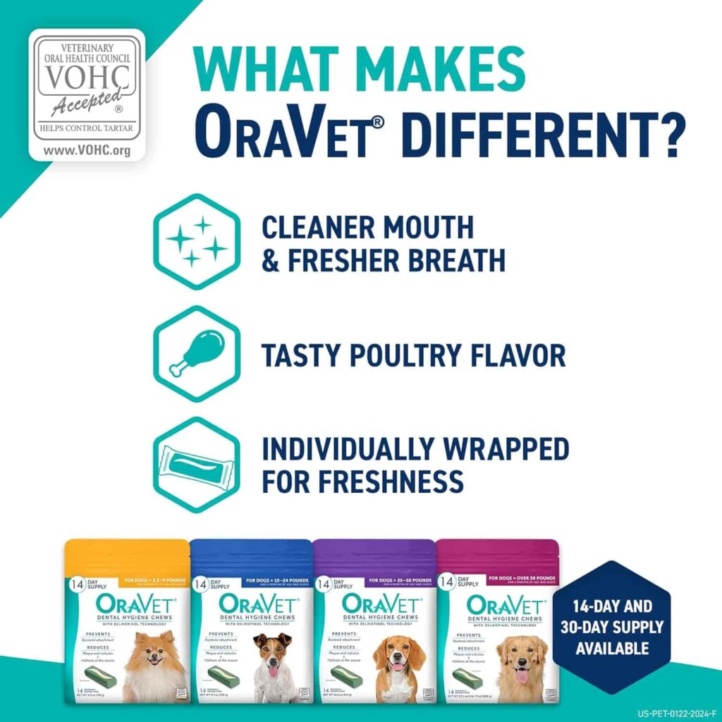Oravet Dental Hygiene Chews for Large Dogs support dental health Oravet Dental Hygiene Chews for Large Dogs support dental health