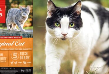 Orijen Original Grain-Free Dry Cat Food