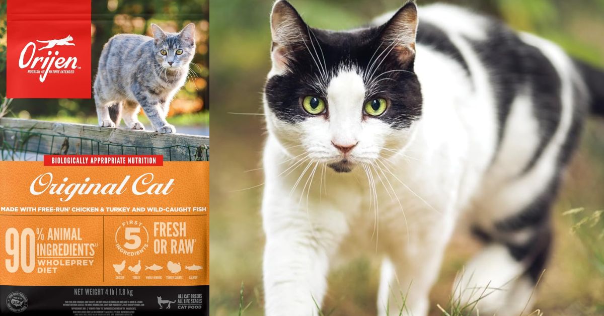 Orijen Original Grain-Free Dry Cat Food