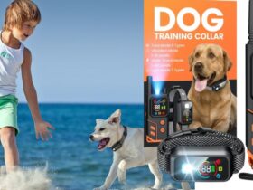 POMPONGO Dog Training Collar
