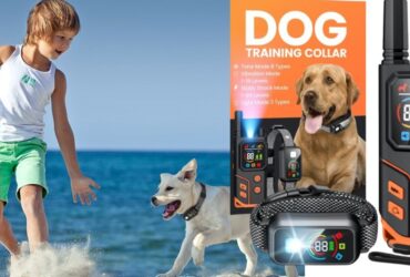 POMPONGO Dog Training Collar