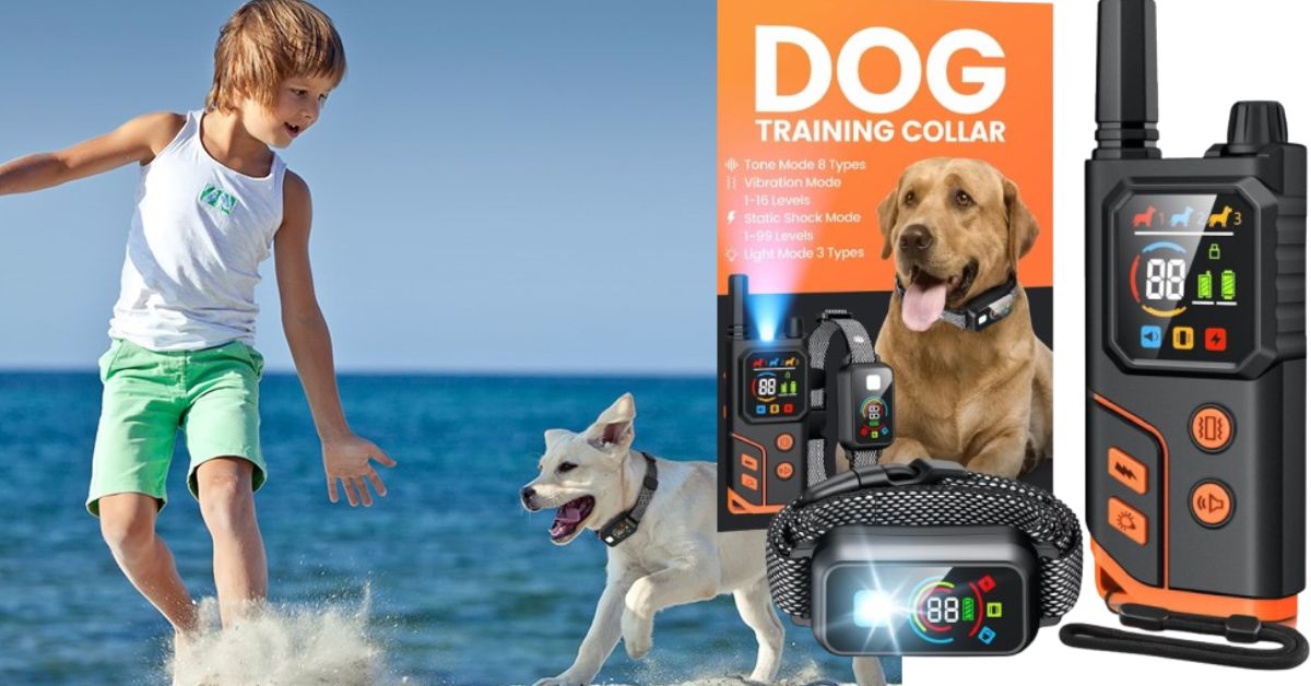 POMPONGO Dog Training Collar