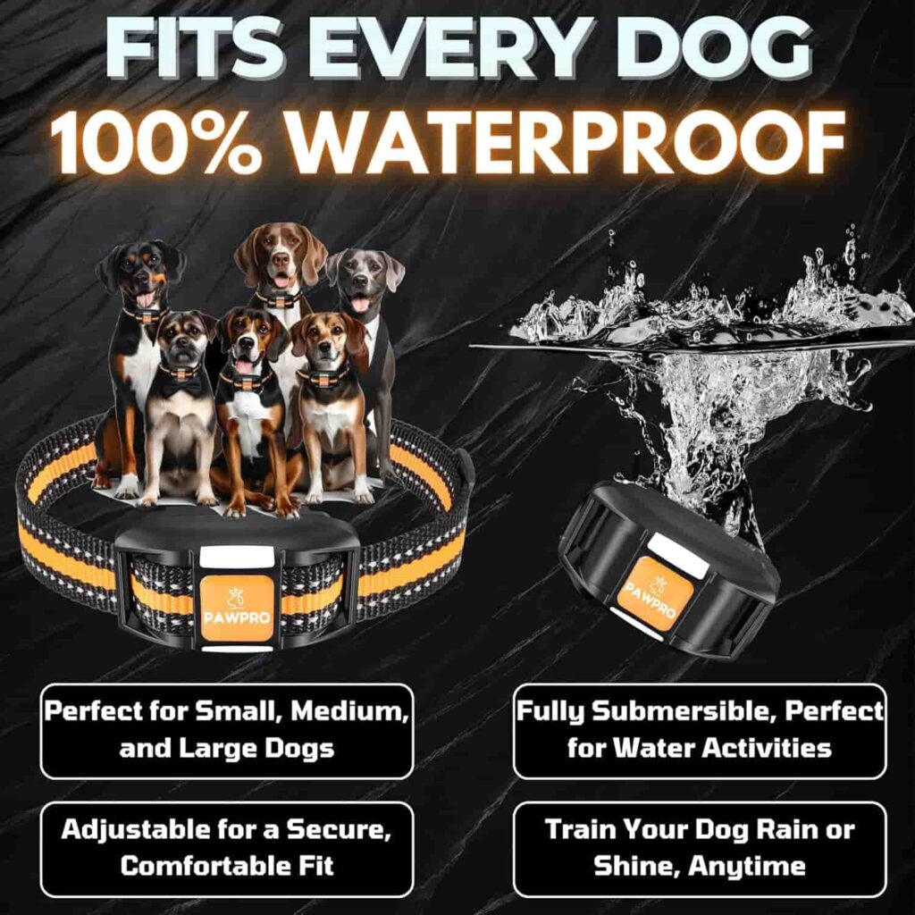 Pawpro Dog Training Collar waterproof feature Pawpro Dog Training Collar waterproof feature
