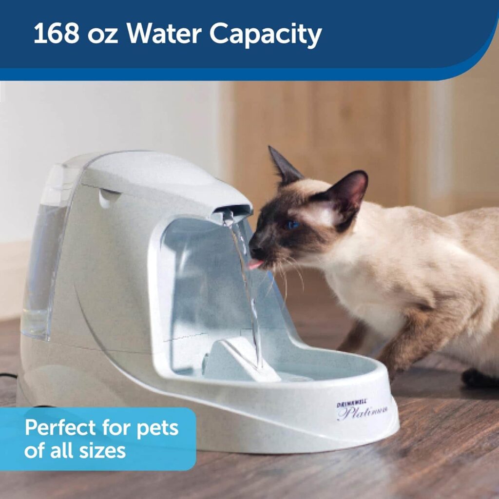 Petsafe Drinkwell Platinum Cat Water Fountain Capacity And Size Petsafe Drinkwell Platinum Cat Water Fountain Capacity And Size