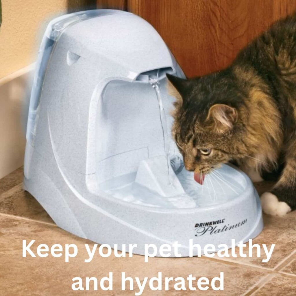 Petsafe Drinkwell Platinum Cat Water Fountain Health Benefits Petsafe Drinkwell Platinum Cat Water Fountain Health Benefits