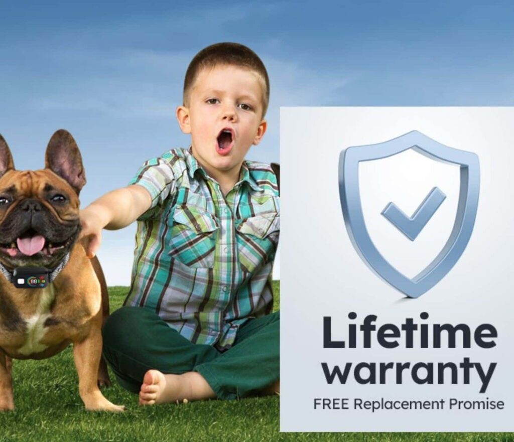 Pompongo Dog Training Collar Value For Money Pompongo Dog Training Collar Value For Money