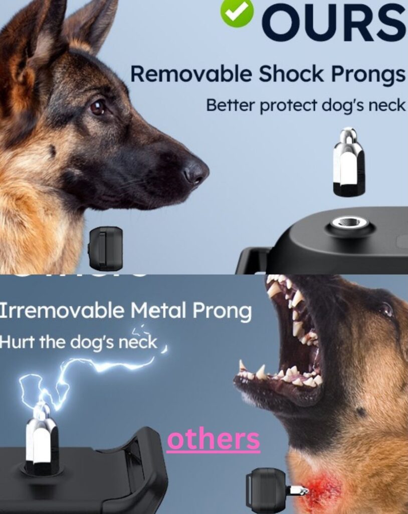 Pompongo Dog Training Collar comfort Pompongo Dog Training Collar comfort