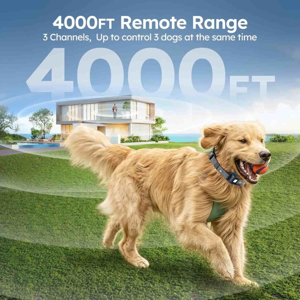 Pompongo Dog Training Collar range area Pompongo Dog Training Collar range area