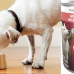 Purina One High Protein Wet Dog Food 12 Pack