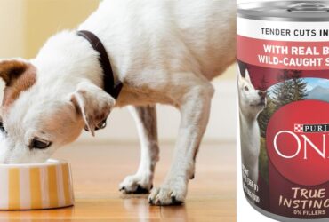 Purina One High Protein Wet Dog Food 12 Pack