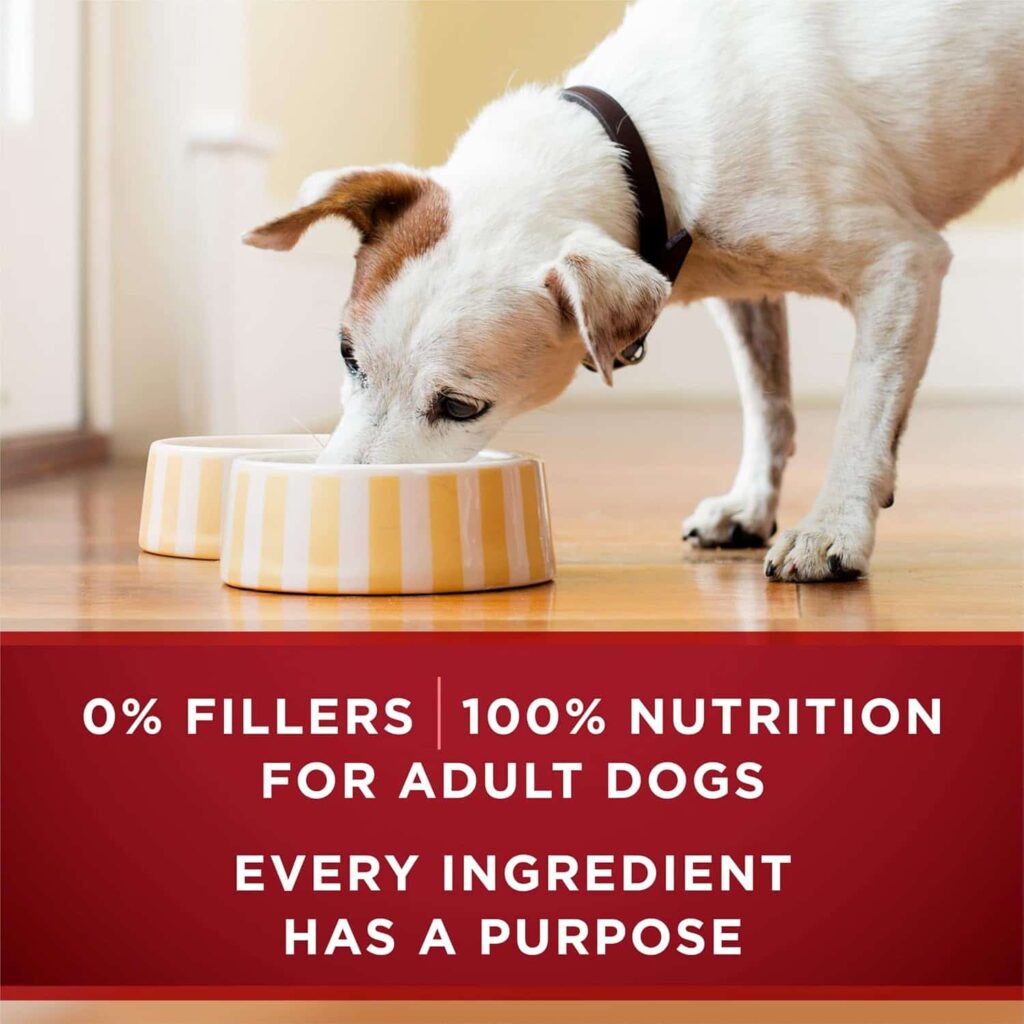 Purina One High Protein Wet Dog Food 12 Pack Health Benefits Purina One High Protein Wet Dog Food 12 Pack Health Benefits