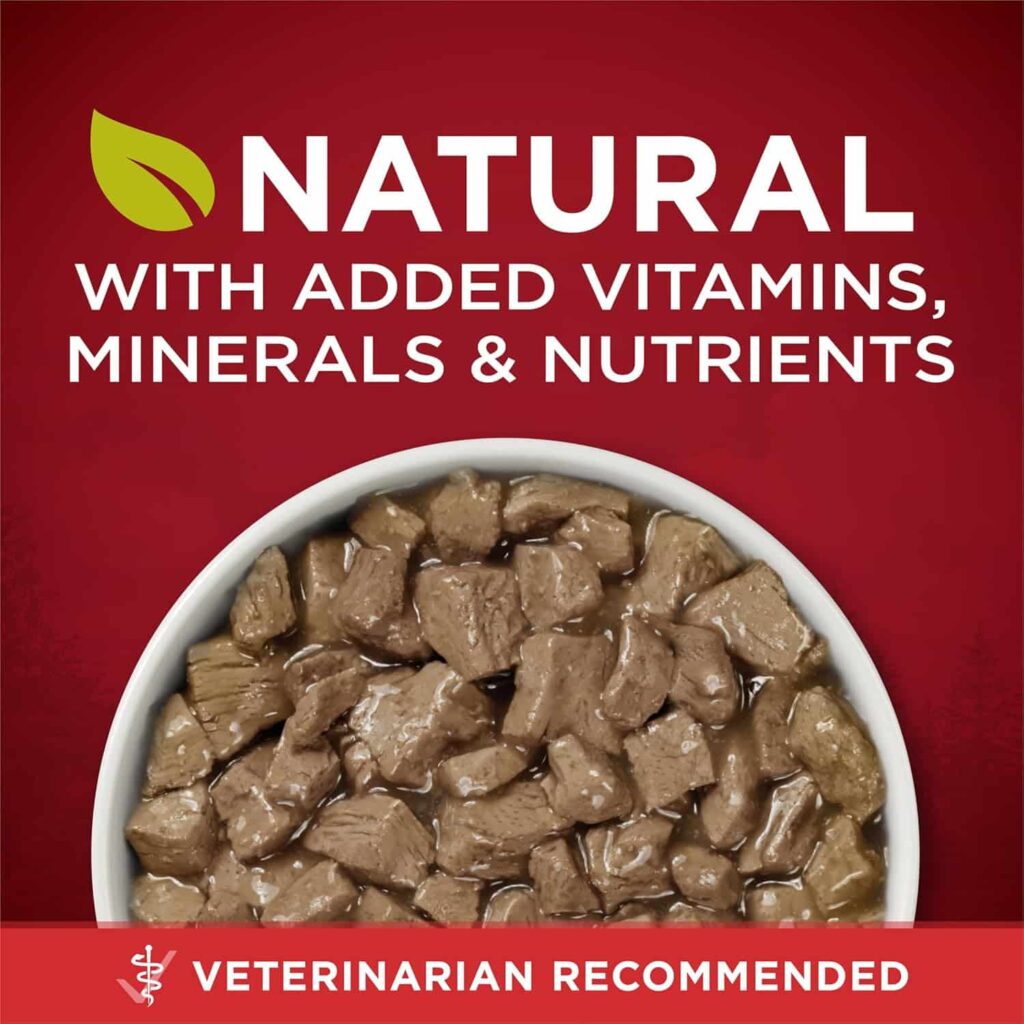 Purina One High Protein Wet Dog Food 12 Pack Nutritional Benefits Purina One High Protein Wet Dog Food 12 Pack Nutritional Benefits