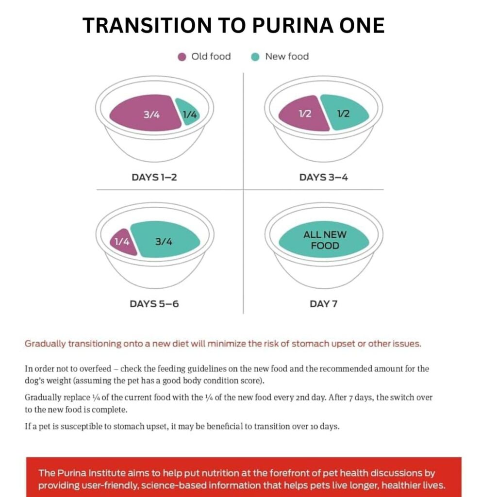Purina One High Protein Wet Dog Food 12 Pack transition to Purina One Purina One High Protein Wet Dog Food 12 Pack transition to Purina One