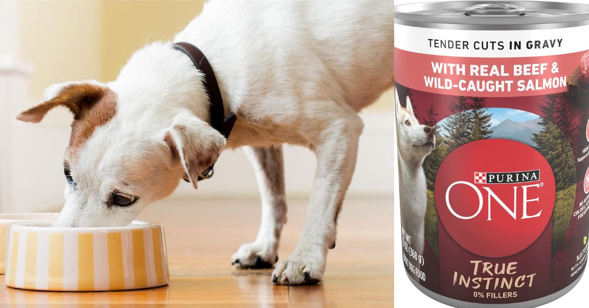 Purina One High Protein Wet Dog Food 12 Pack