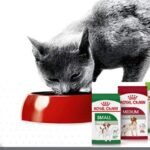 Royal Canin Beauty Dog Food