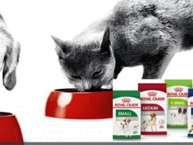 Royal Canin Beauty Dog Food