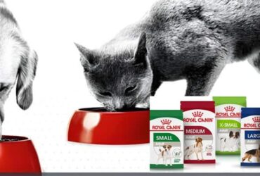 Royal Canin Beauty Dog Food